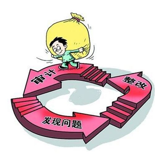 研發審計服務